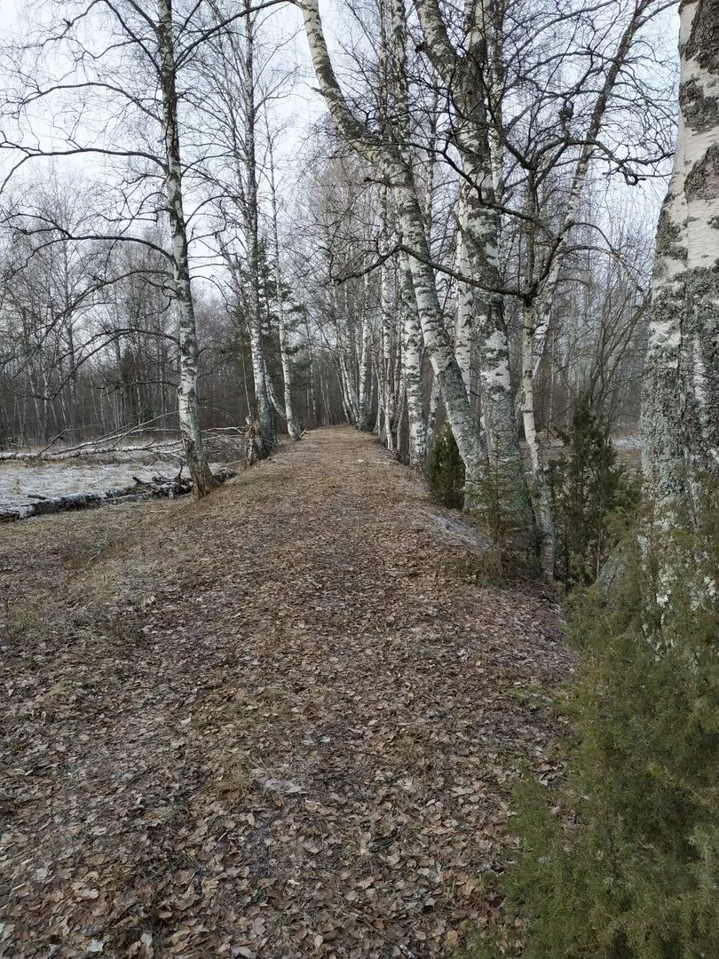 Аракчеевский тракт ПВД